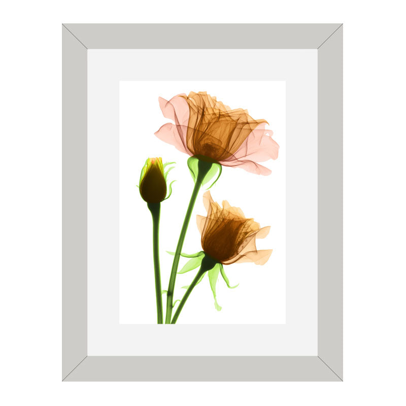3 Piece Botanical Bloom Wall Frame Set – Pink, Yellow & Green Flowers