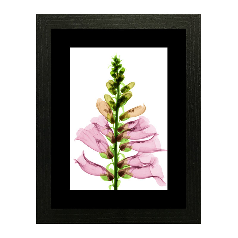 3 Piece Botanical Bloom Wall Frame Set – Pink, Yellow & Green Flowers