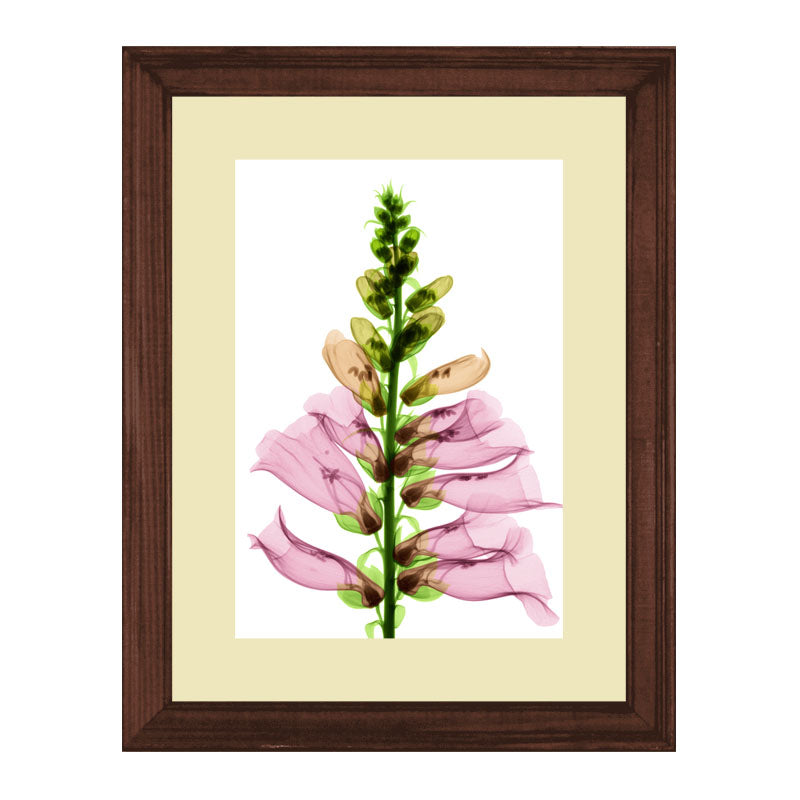 3 Piece Botanical Bloom Wall Frame Set – Pink, Yellow & Green Flowers