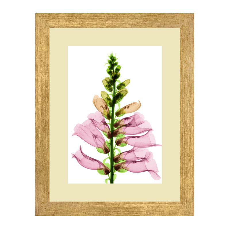 3 Piece Botanical Bloom Wall Frame Set – Pink, Yellow & Green Flowers