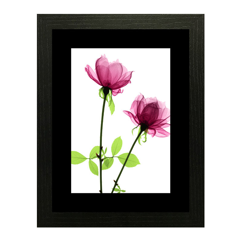 3 Piece Botanical Bloom Wall Frame Set – Pink, Yellow & Green Flowers