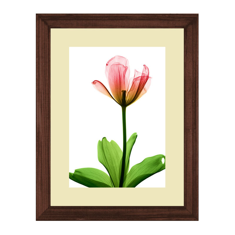 Set of 3 Delicate Botanical Wall Frame Set – Vibrant Spring Blooms