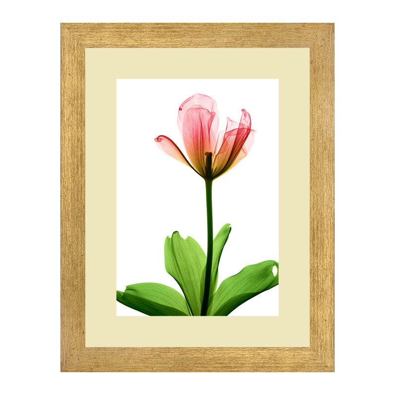 Set of 3 Delicate Botanical Wall Frame Set – Vibrant Spring Blooms