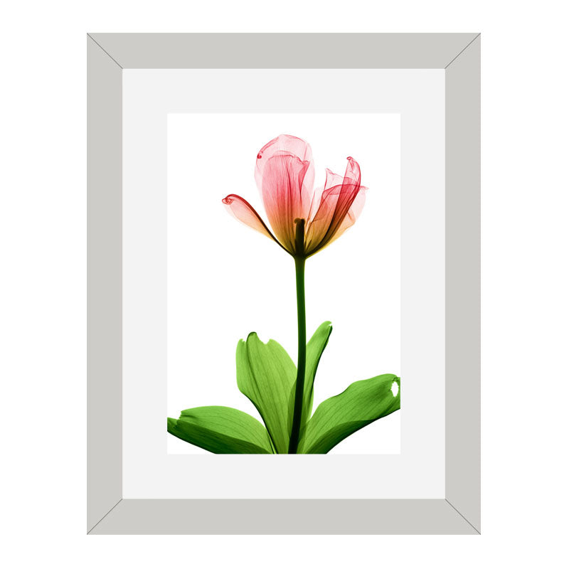 Set of 3 Delicate Botanical Wall Frame Set – Vibrant Spring Blooms