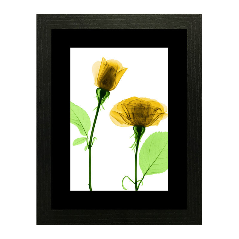 Set of 3 Delicate Botanical Wall Frame Set – Vibrant Spring Blooms
