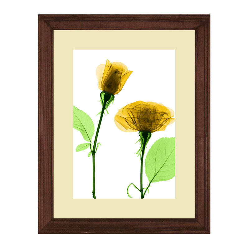 Set of 3 Delicate Botanical Wall Frame Set – Vibrant Spring Blooms