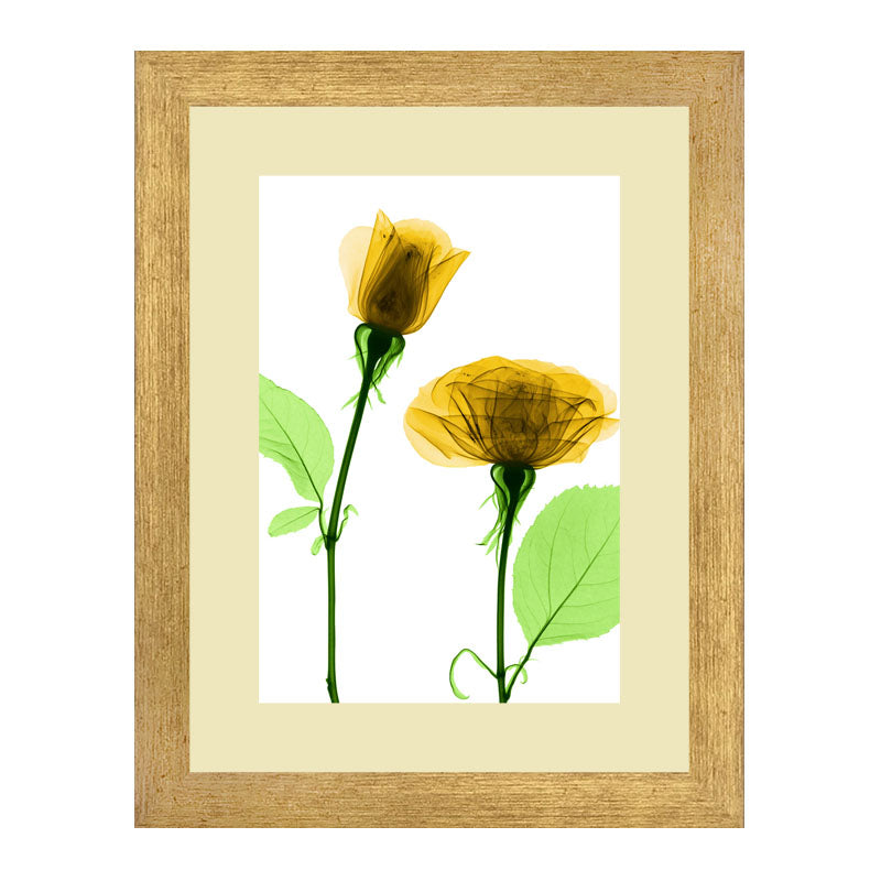 Set of 3 Delicate Botanical Wall Frame Set – Vibrant Spring Blooms