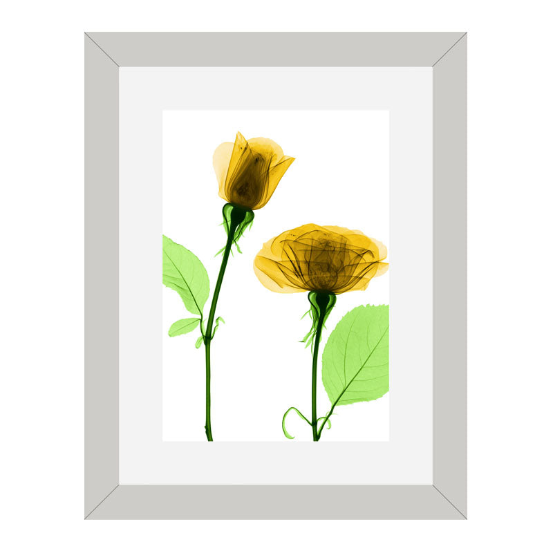 Set of 3 Delicate Botanical Wall Frame Set – Vibrant Spring Blooms
