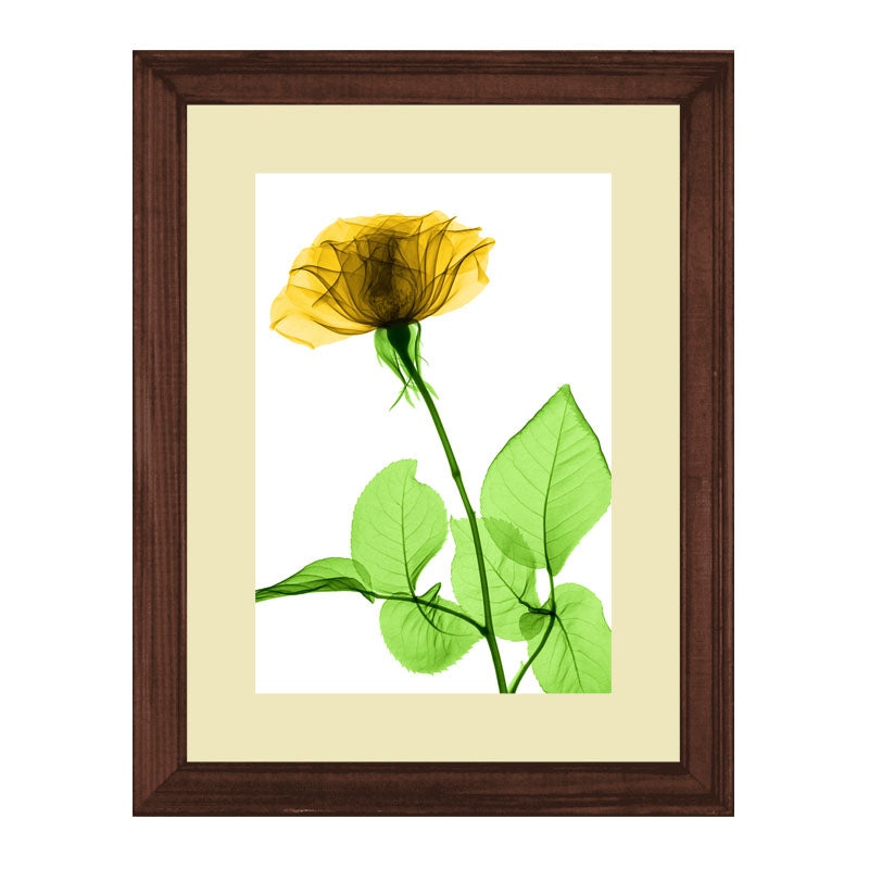 Set of 3 Delicate Botanical Wall Frame Set – Vibrant Spring Blooms