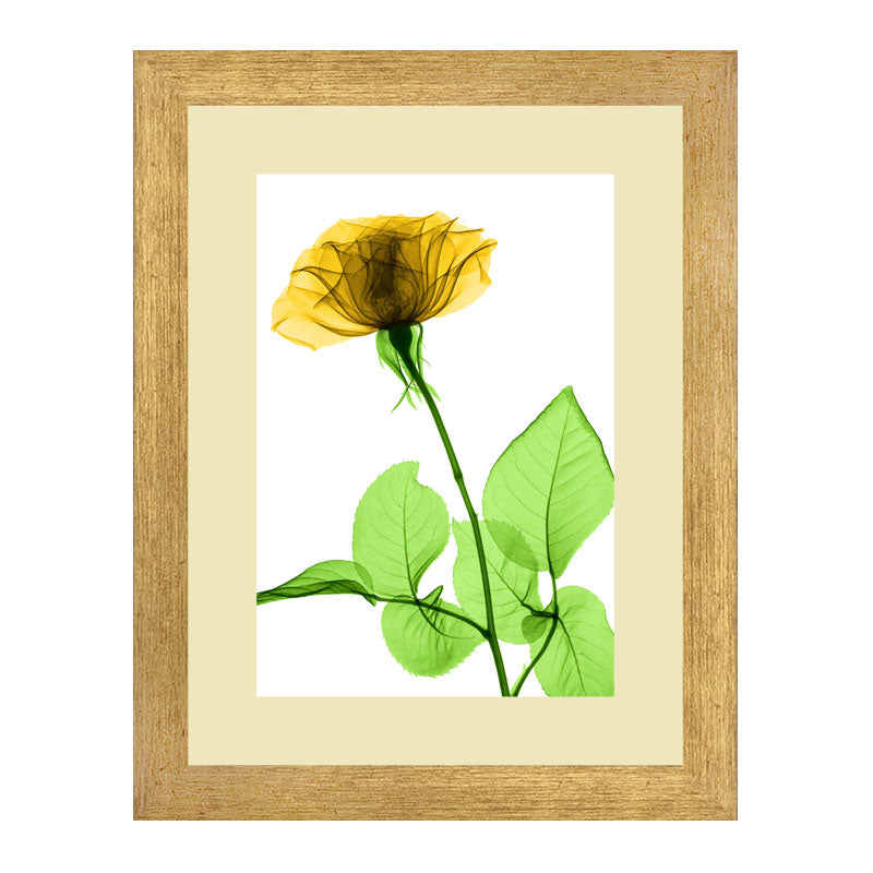 Set of 3 Delicate Botanical Wall Frame Set – Vibrant Spring Blooms