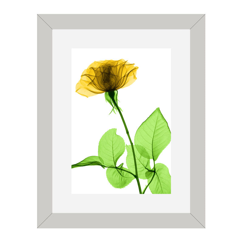 Set of 3 Delicate Botanical Wall Frame Set – Vibrant Spring Blooms