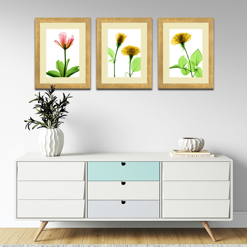 Set of 3 Delicate Botanical Wall Frame Set – Vibrant Spring Blooms