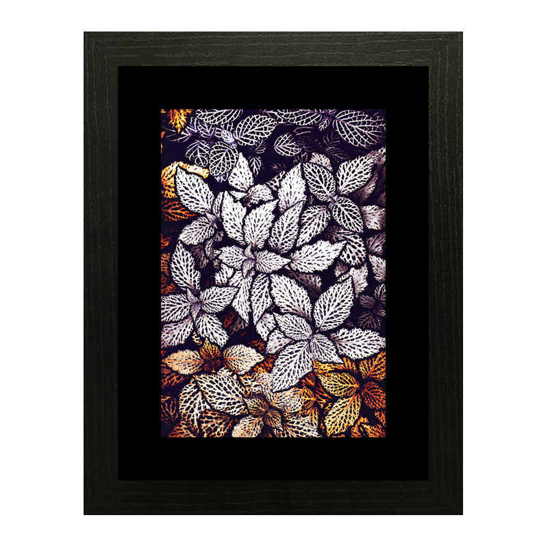 Set of 3 Autumn Leaves Wall Frame Set – Brown, Green & Frosted Leaves