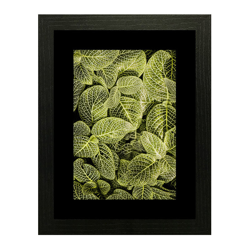 Set of 3 Autumn Leaves Wall Frame Set – Brown, Green & Frosted Leaves