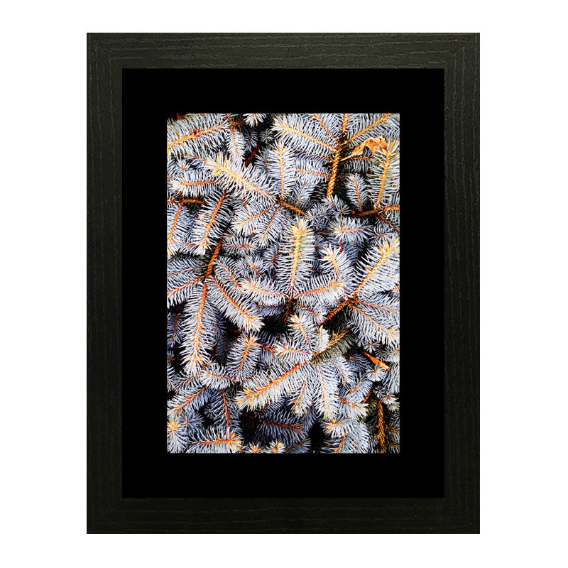 Set of 3 Autumn Leaves Wall Frame Set – Brown, Green & Frosted Leaves