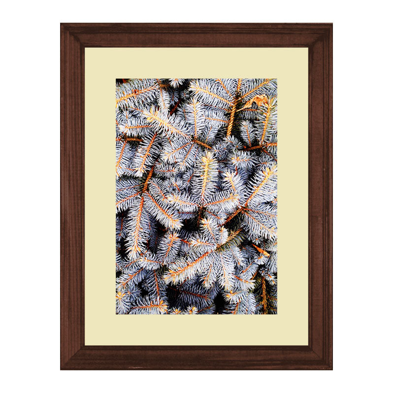Set of 3 Autumn Leaves Wall Frame Set – Brown, Green & Frosted Leaves