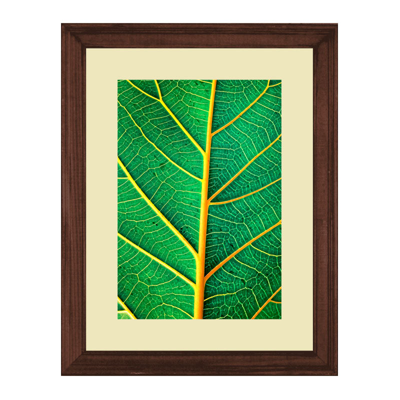 3 Piece Green Nature Wall Frame Set – Tropical Leaves & Natural Texture