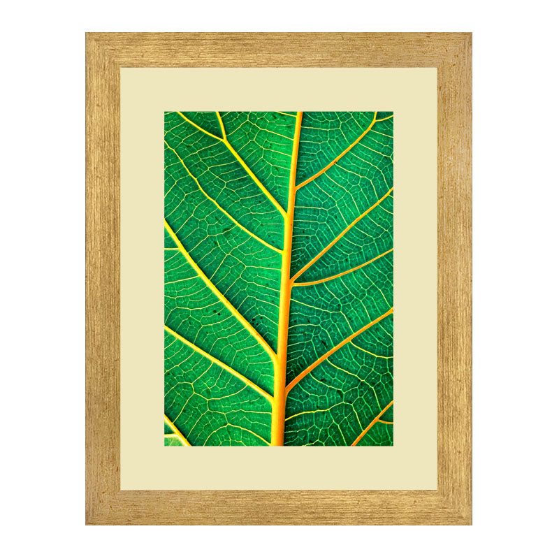 3 Piece Green Nature Wall Frame Set – Tropical Leaves & Natural Texture