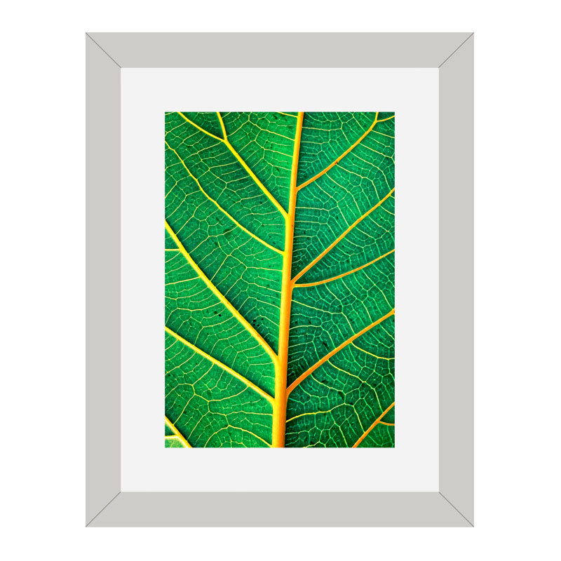 3 Piece Green Nature Wall Frame Set – Tropical Leaves & Natural Texture