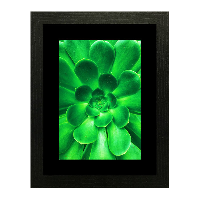 3 Piece Green Nature Wall Frame Set – Tropical Leaves & Natural Texture