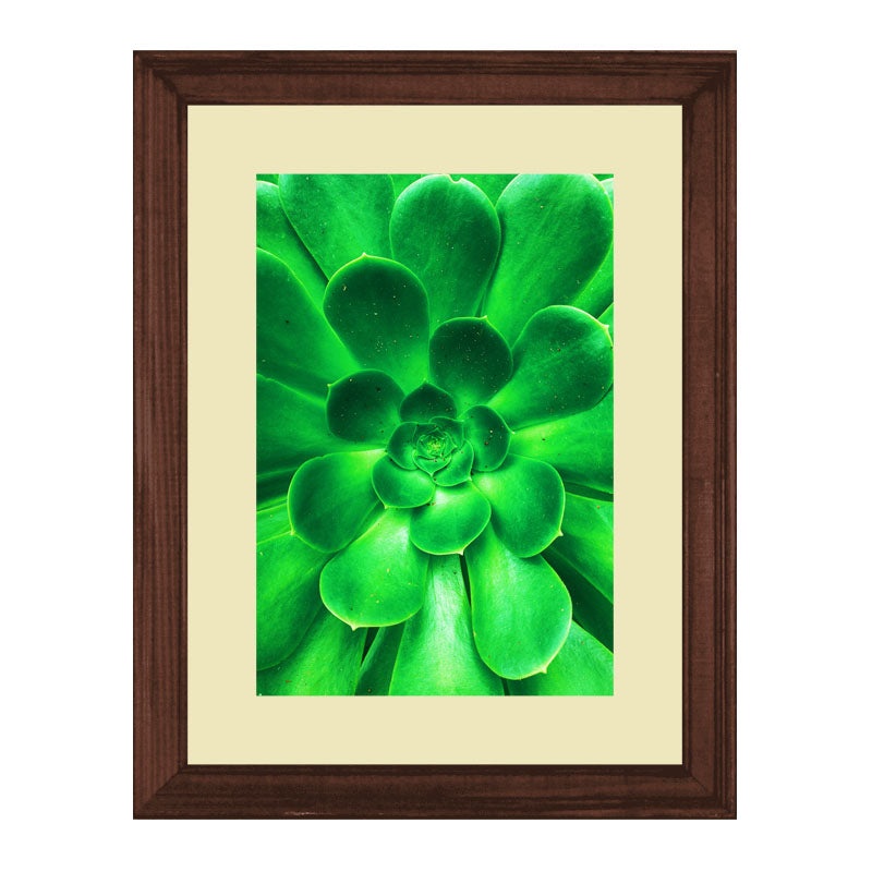 3 Piece Green Nature Wall Frame Set – Tropical Leaves & Natural Texture