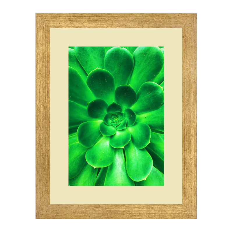 3 Piece Green Nature Wall Frame Set – Tropical Leaves & Natural Texture