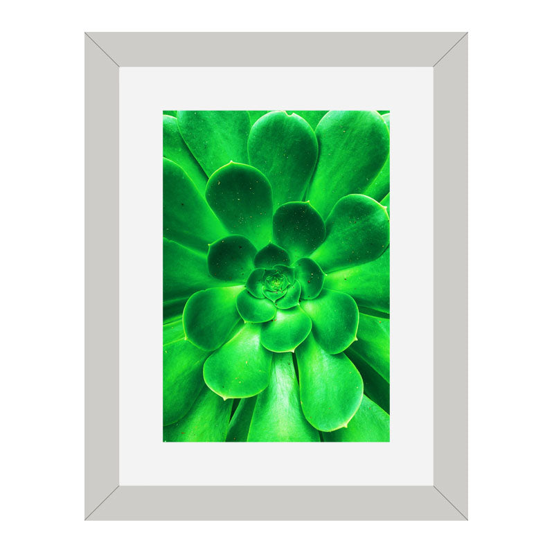 3 Piece Green Nature Wall Frame Set – Tropical Leaves & Natural Texture