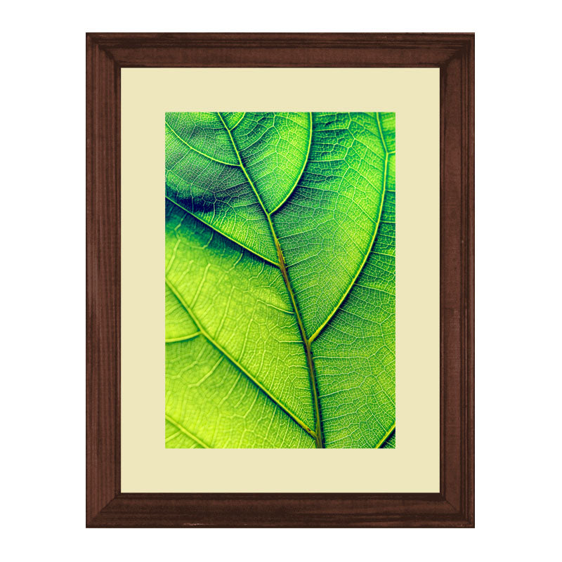3 Piece Green Nature Wall Frame Set – Tropical Leaves & Natural Texture
