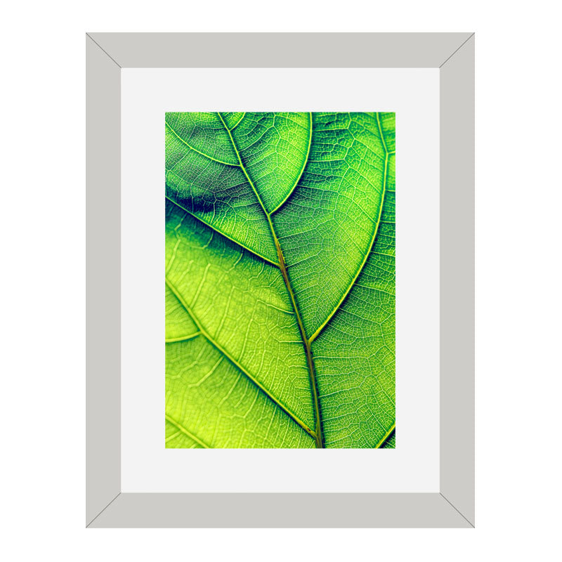 3 Piece Green Nature Wall Frame Set – Tropical Leaves & Natural Texture