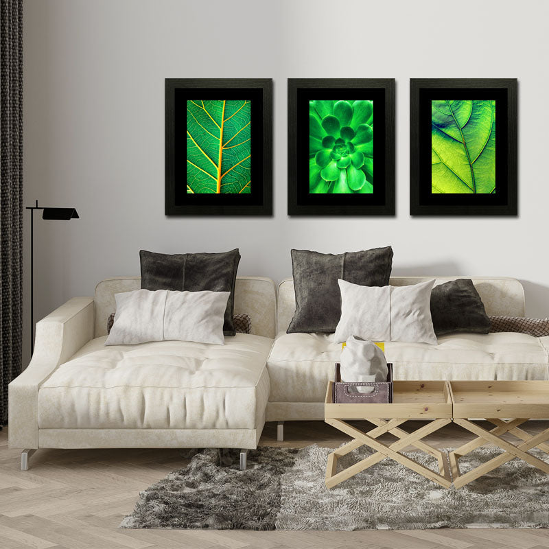 3 Piece Green Nature Wall Frame Set – Tropical Leaves & Natural Texture