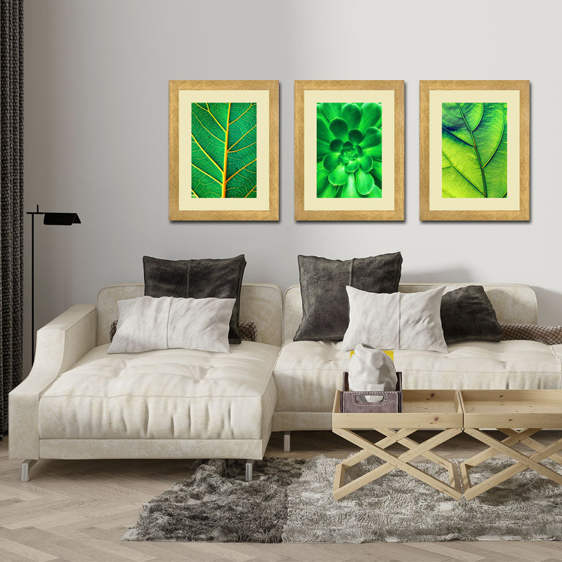 3 Piece Green Nature Wall Frame Set – Tropical Leaves & Natural Texture