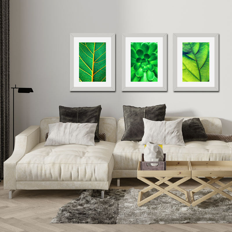 3 Piece Green Nature Wall Frame Set – Tropical Leaves & Natural Texture