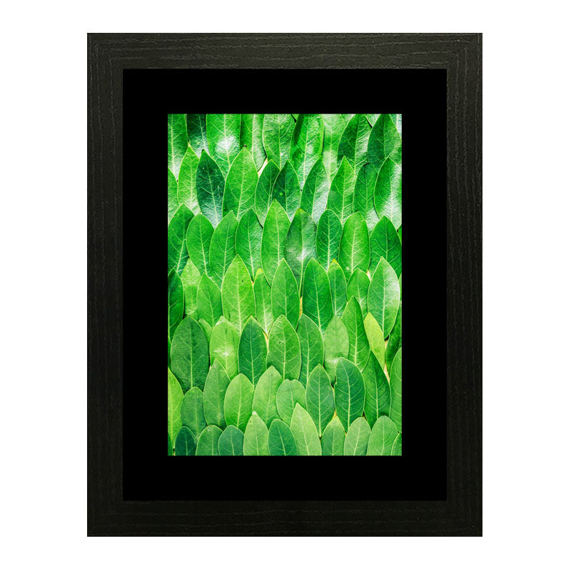 Set of 3 Fresh Green Leaves Wall Frame Set – Vibrant Botanical Art