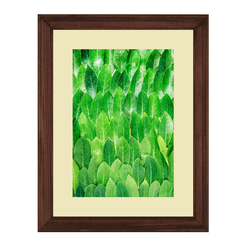 Set of 3 Fresh Green Leaves Wall Frame Set – Vibrant Botanical Art