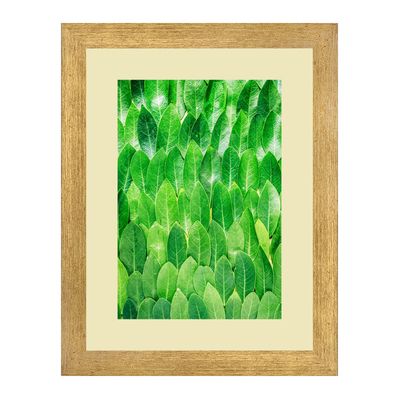 Set of 3 Fresh Green Leaves Wall Frame Set – Vibrant Botanical Art