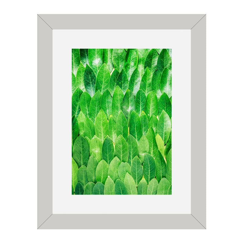 Set of 3 Fresh Green Leaves Wall Frame Set – Vibrant Botanical Art
