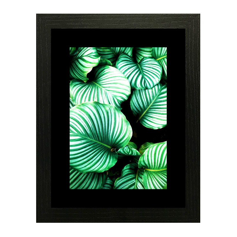 Set of 3 Fresh Green Leaves Wall Frame Set – Vibrant Botanical Art