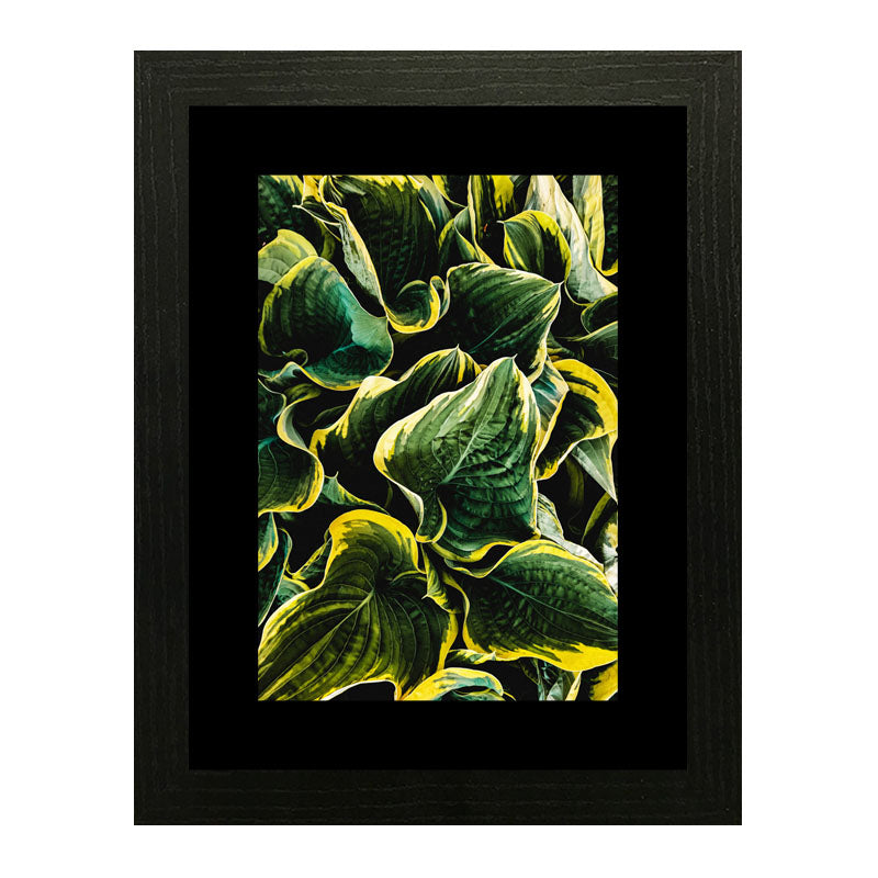Set of 3 Fresh Green Leaves Wall Frame Set – Vibrant Botanical Art