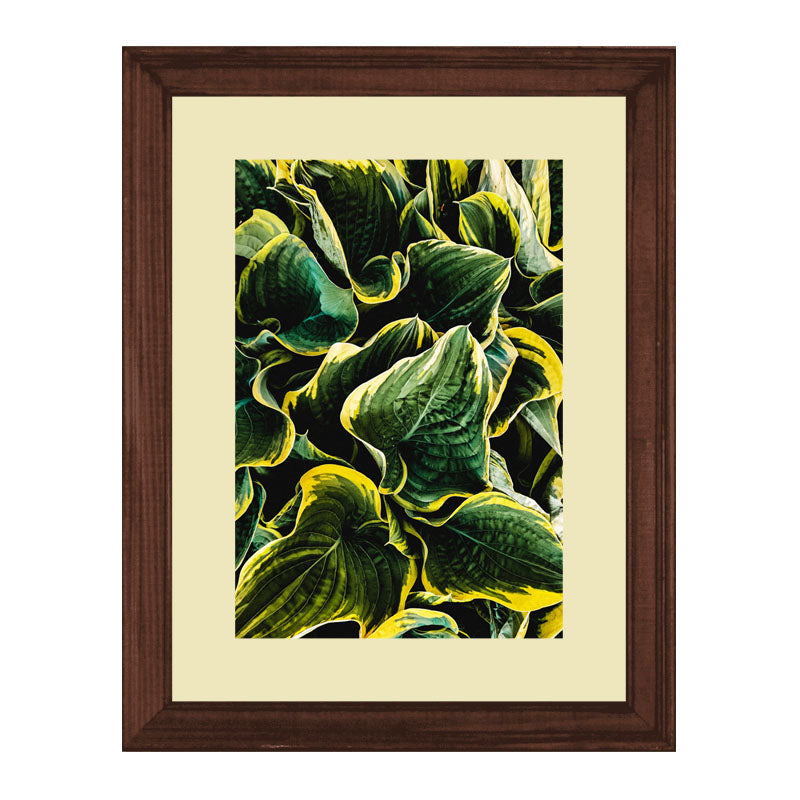 Set of 3 Fresh Green Leaves Wall Frame Set – Vibrant Botanical Art