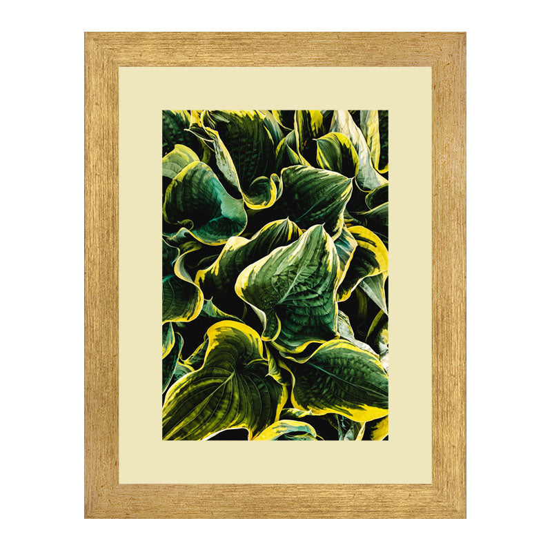 Set of 3 Fresh Green Leaves Wall Frame Set – Vibrant Botanical Art