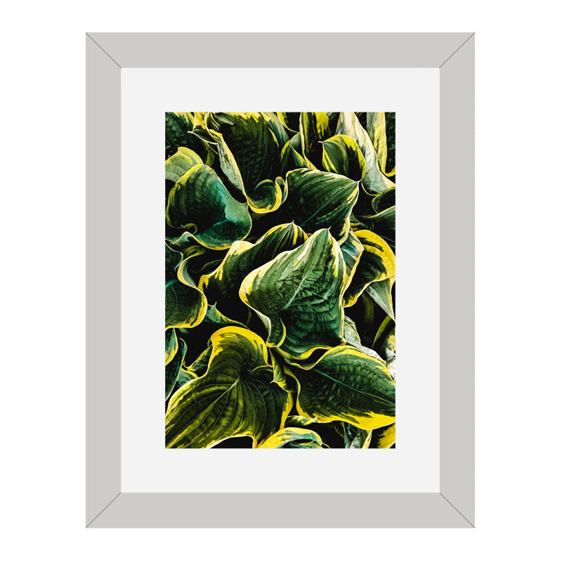 Set of 3 Fresh Green Leaves Wall Frame Set – Vibrant Botanical Art